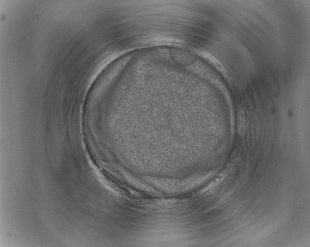 X0000073731039200608311840