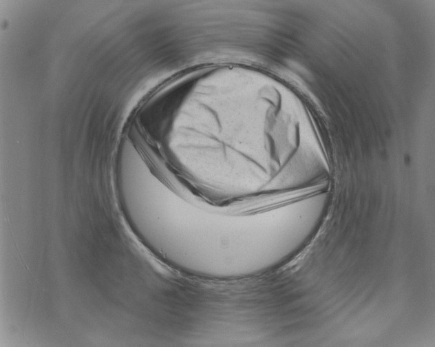 X0000073731040200608311840