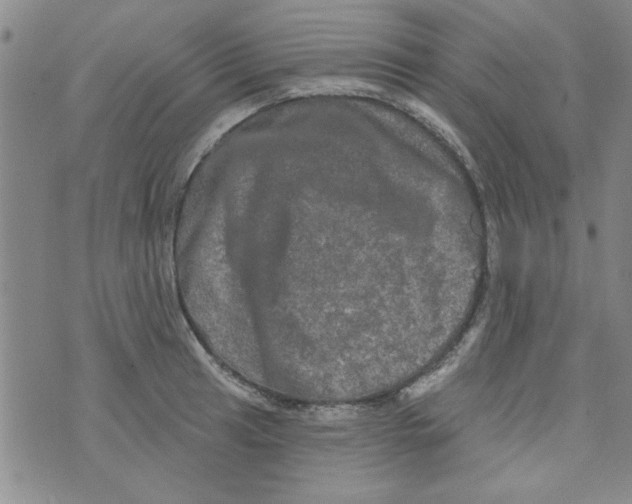 X0000073731041200608311840