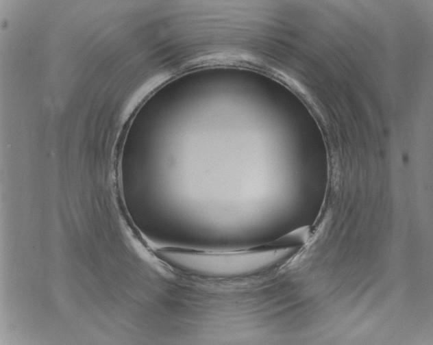 X0000073731042200608311840