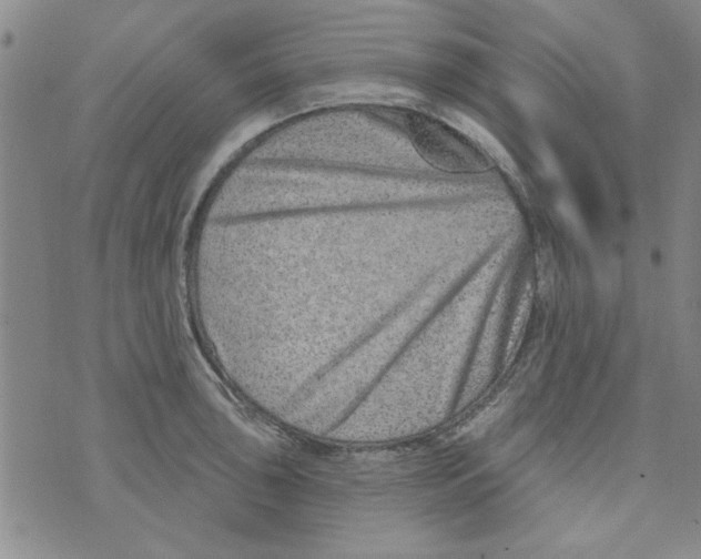 X0000073731043200608311840