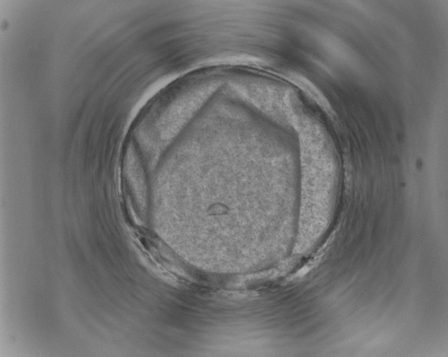 X0000073731044200608311840