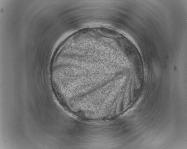 X0000073731045200608311840