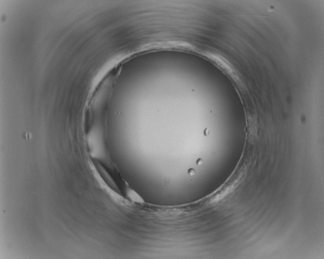 X0000073731046200608311840