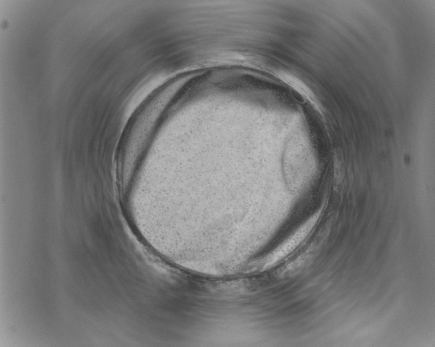 X0000073731047200608311840