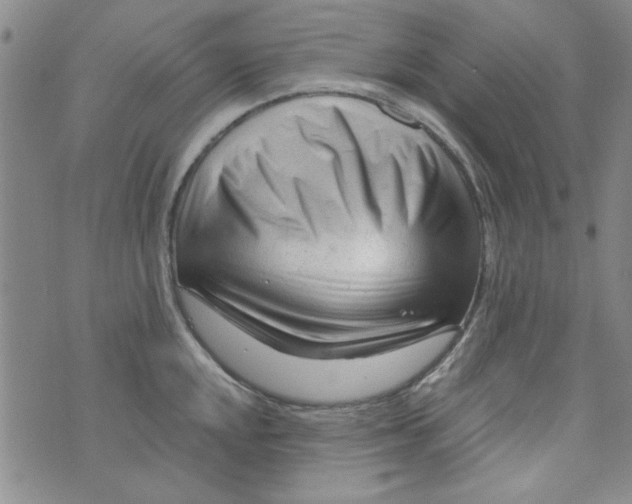 X0000073731048200608311840