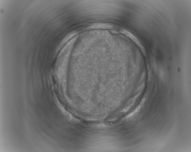 X0000073731049200608311840