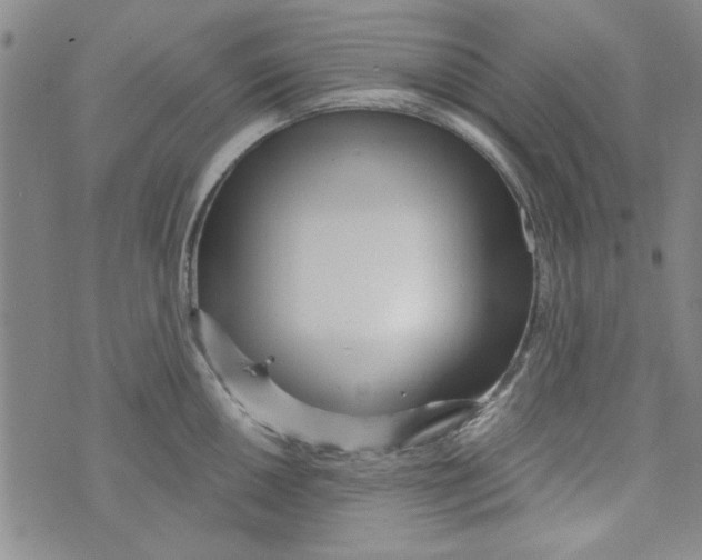 X0000073731050200608311840