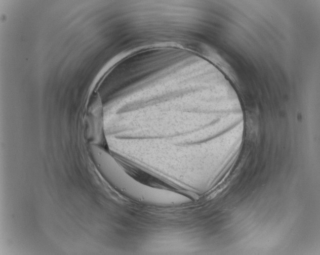 X0000073731052200608311840