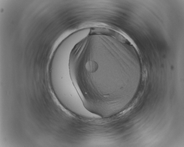 X0000073731053200608311840