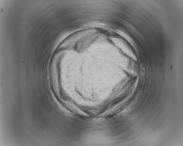 X0000073731055200608311840