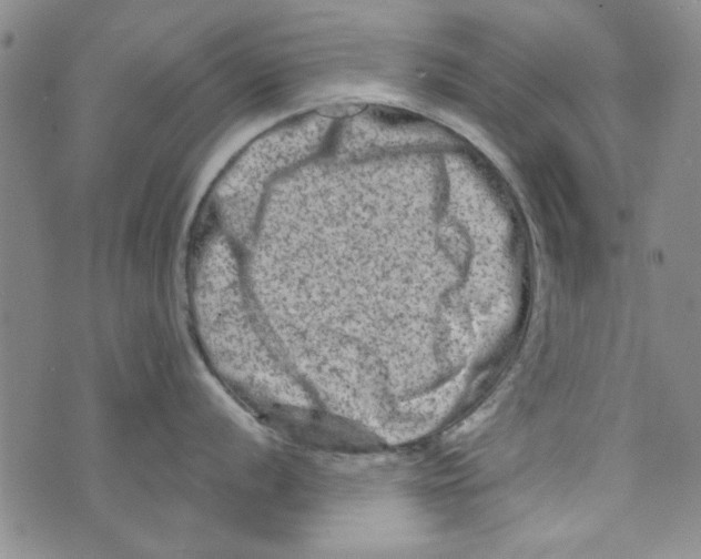 X0000073731056200608311840