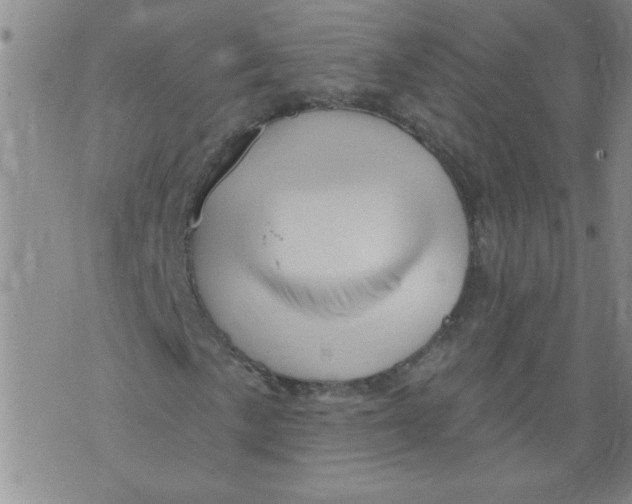 X0000073731057200608311839