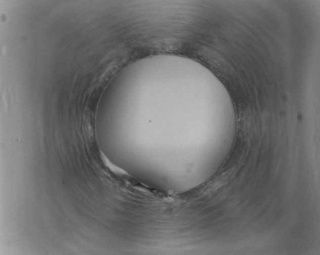 X0000073731058200608311839