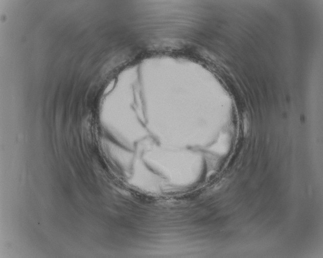 X0000073731059200608311839