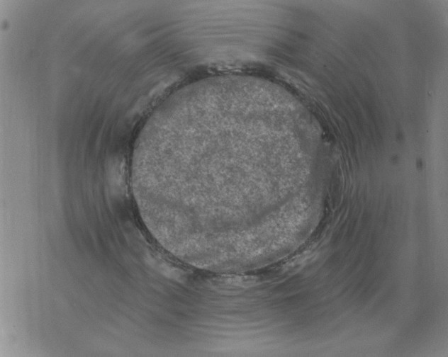 X0000073731060200608311839