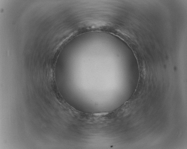 X0000073731061200608311839