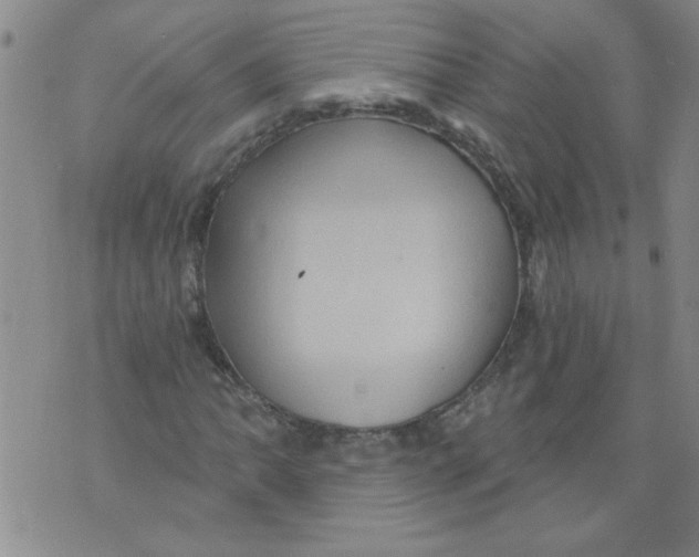 X0000073731062200608311839