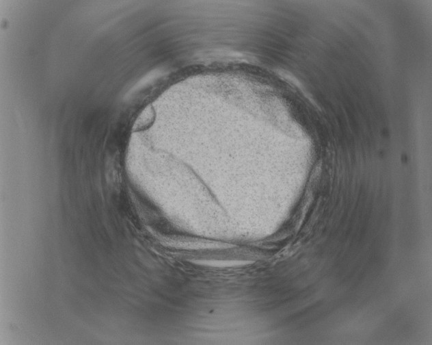 X0000073731063200608311839