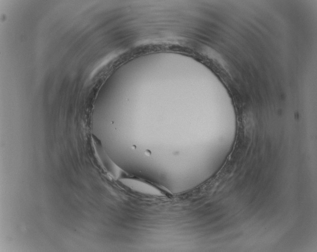 X0000073731064200608311839