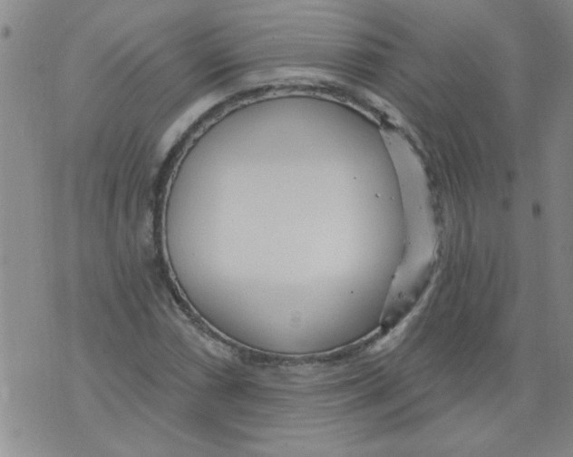 X0000073731066200608311839