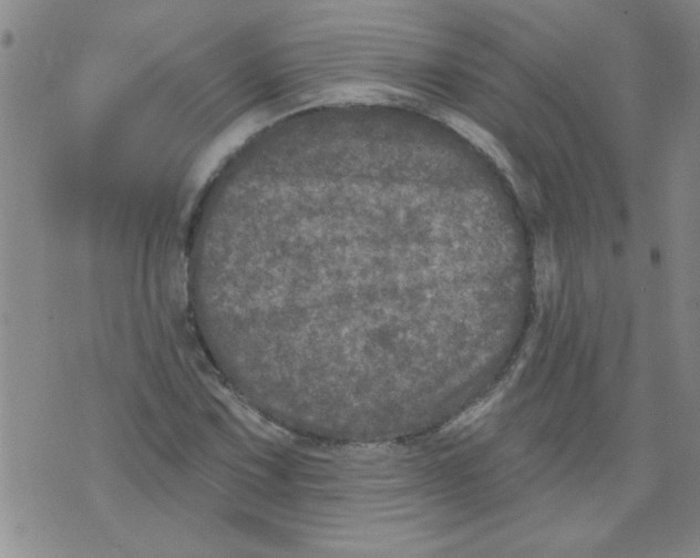 X0000073731067200608311839