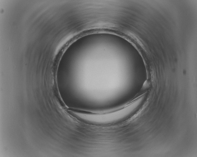 X0000073731069200608311839