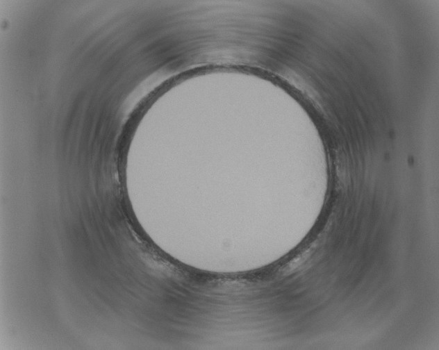 X0000073731070200608311839