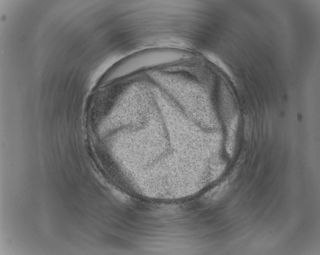 X0000073731071200608311839