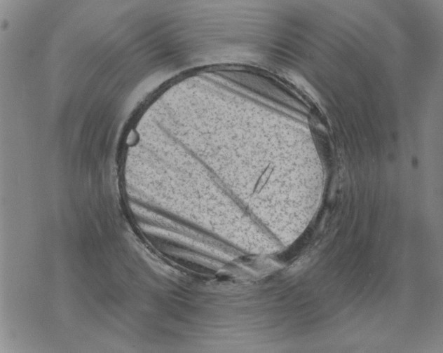 X0000073731072200608311839