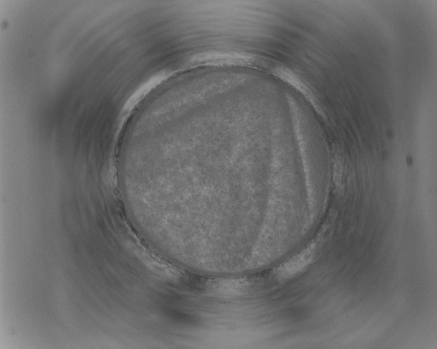 X0000073731074200608311839