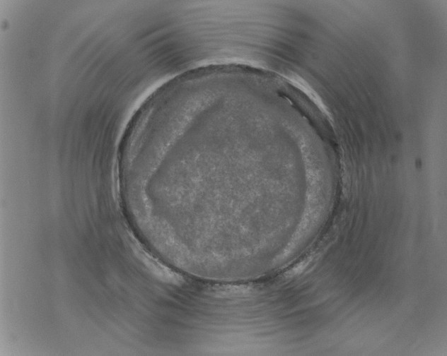 X0000073731076200608311839