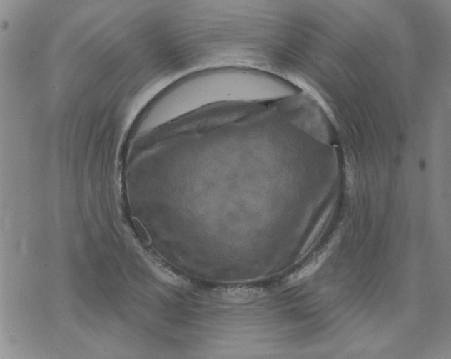 X0000073731077200608311839