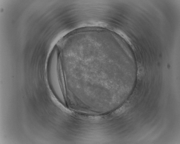 X0000073731080200608311839