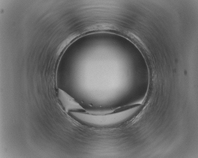 X0000073731081200608311839