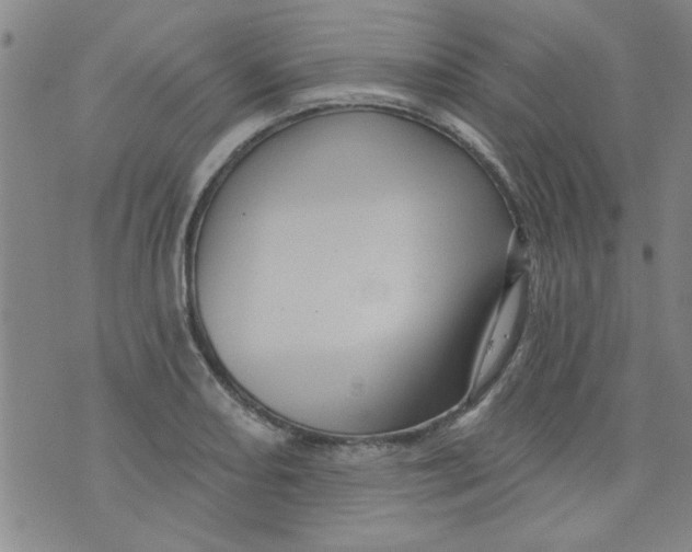 X0000073731082200608311839