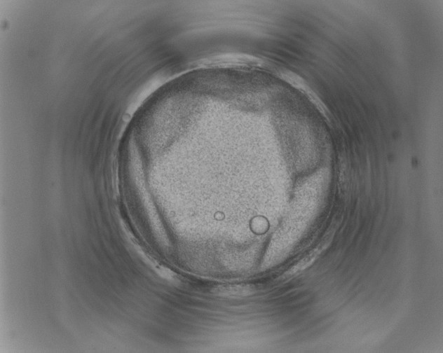 X0000073731083200608311839