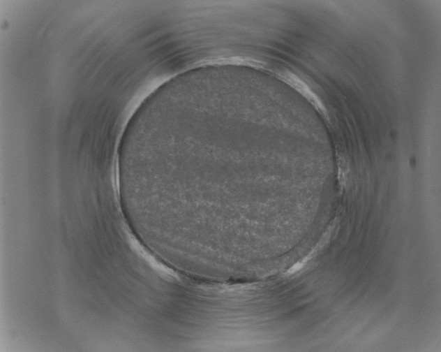 X0000073731084200608311839