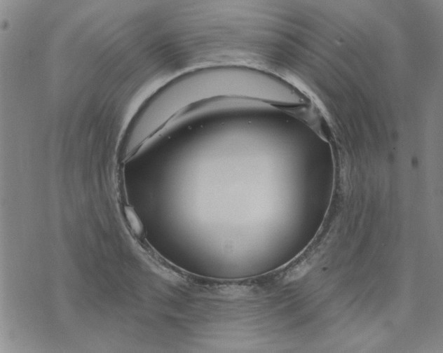 X0000073731085200608311839