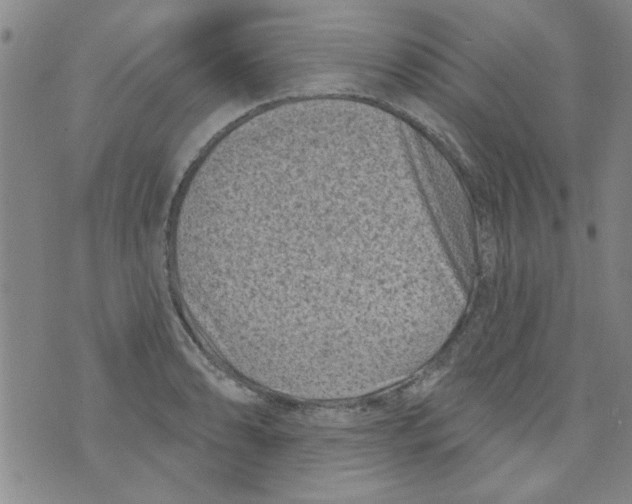 X0000073731086200608311839