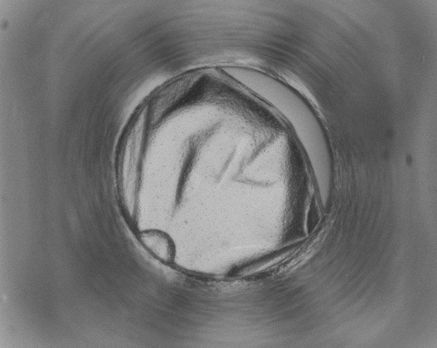 X0000073731087200608311839