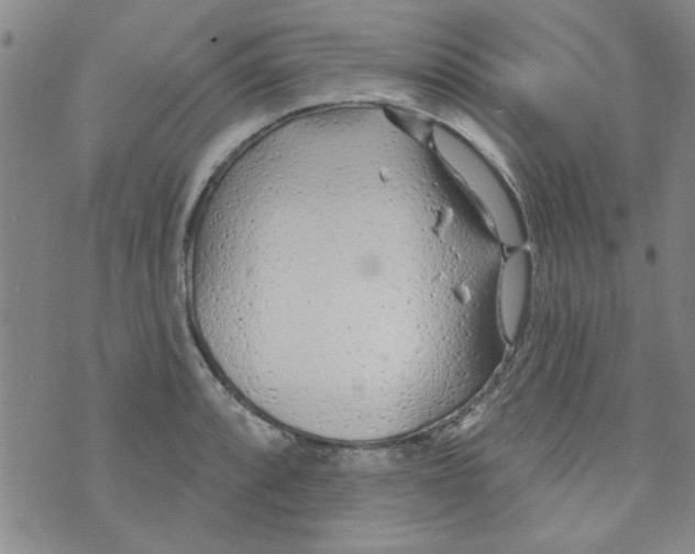 X0000073731088200608311839