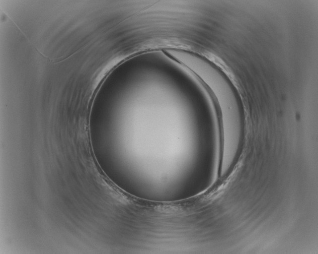 X0000073731089200608311839