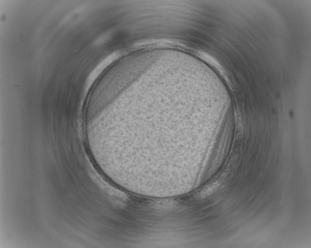 X0000073731090200608311839