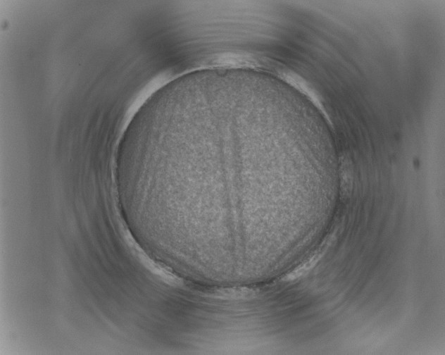 X0000073731091200608311839