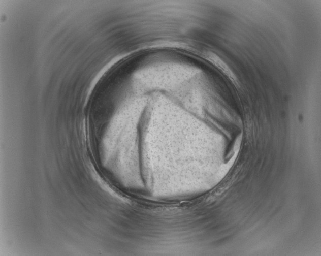 X0000073731092200608311839