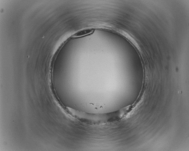 X0000073731093200608311839