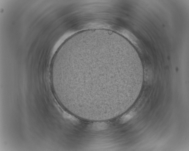 X0000073731094200608311839