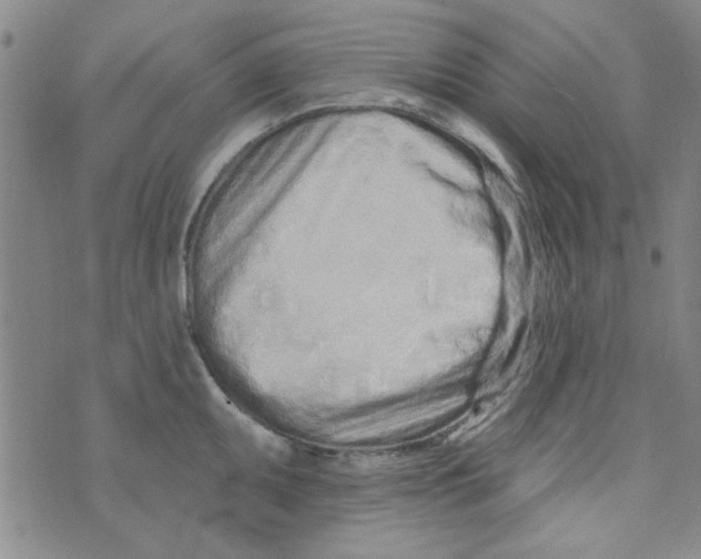 X0000073731095200608311839