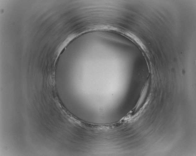 X0000073731097200608311839